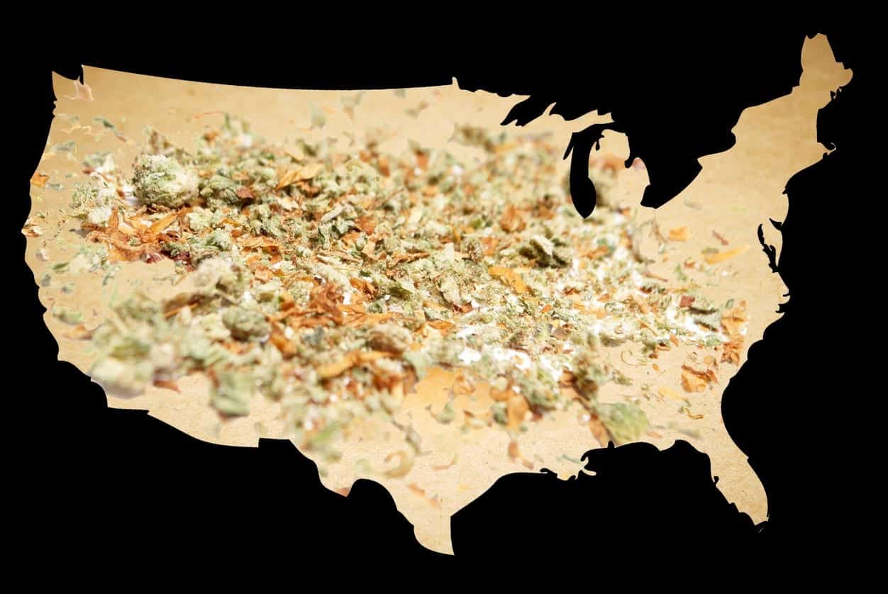 The Country’s Changing Views on Marijuana - What You Should Know